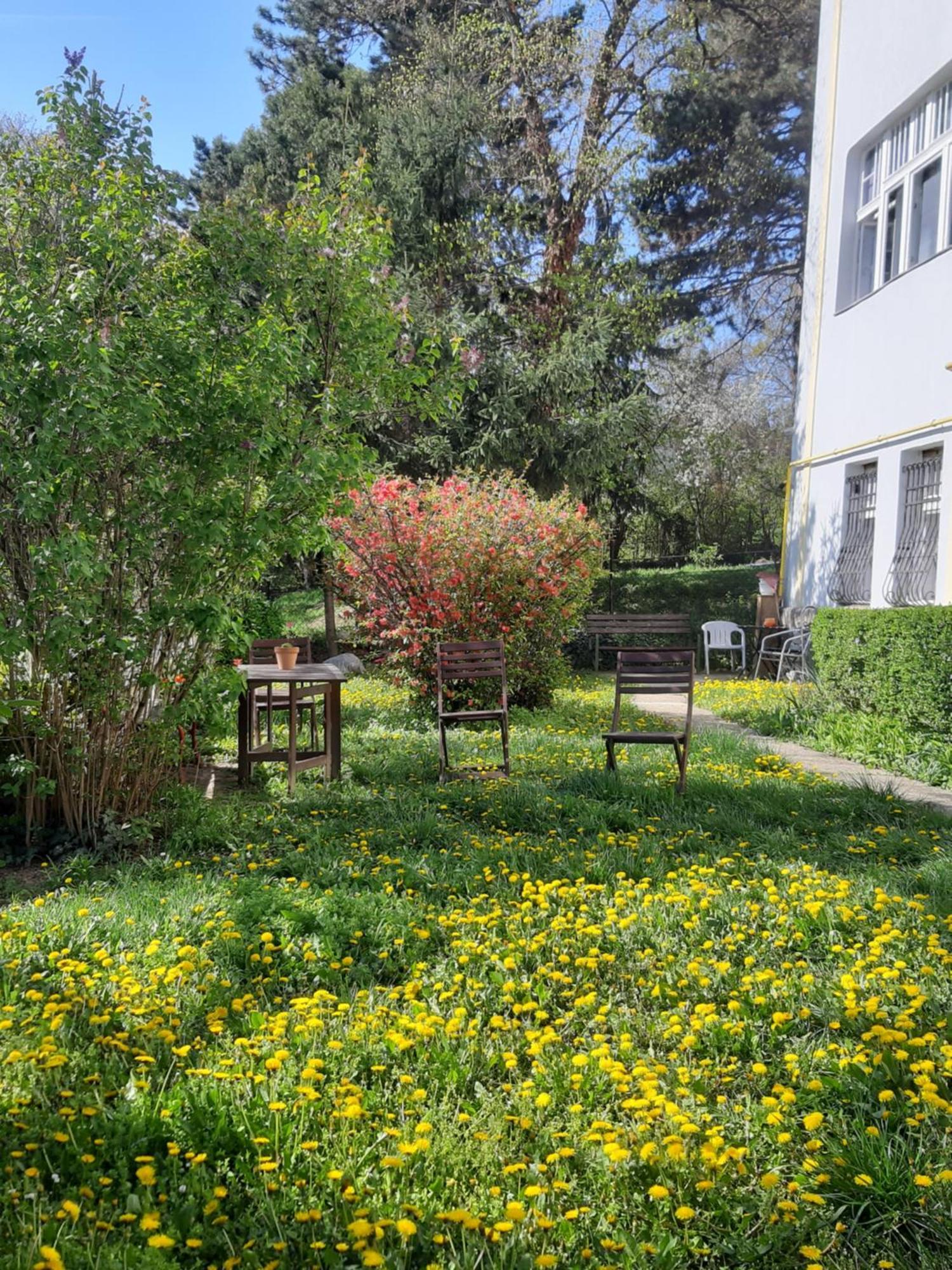 Green Hill Apartment Budapest Ngoại thất bức ảnh